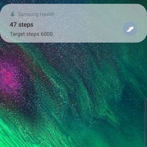 Meet your Posher, Zachary